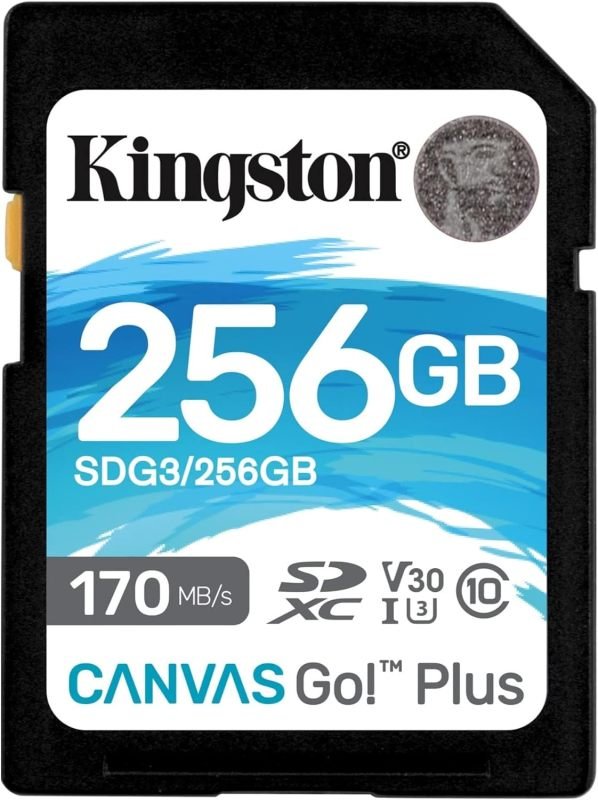 Kingston Canvas Go Plus 256gb Sdxc Memory Card
