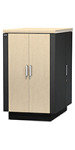 APC NetShelter CX 24U Secure Soundproofed Server Room in a Box Enclosure International