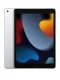 Apple iPad 9th Gen 10.2" 256GB Wi-Fi + Cellular Tablet - Silver