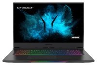 EXDISPLAY Medion Erazer Beast X25 Ryzen 7 32GB 1TB SSD RTX 3080 17.3" QHD Win11 Home Gaming Laptop