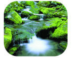 Fellowes Brite Mat Mouse Pad - Cascades