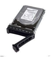 EXDISPLAY EXDISPLAY Dell 10000 RPM SAS 12Gbps 512e 2.5in Hot-plug Hard Drive - 2.4 TB