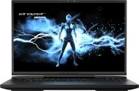 Medion Erazer Beast X40 17.3 Inch Laptop - Intel Core i7-13700HX