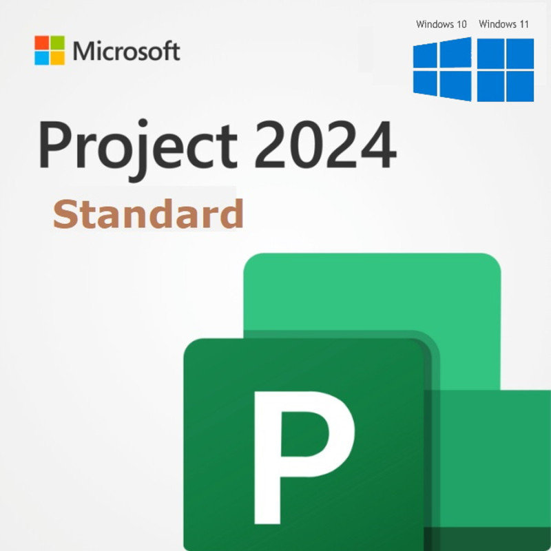 Microsoft Project Standard 2024 Download