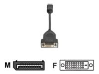 HP DisplayPort To DVI-D Adapter