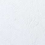 GBC 250G LEATHER COVERS WDW WH P50