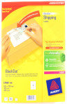 AVERY LSR LBL PK100 L7169-100 FPC