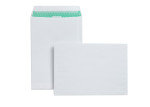 BAS ENV COMMCL PEEL 100G C4 P250