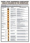 STEWART S/ADH POSTER CHIPS ORN/WHT HS100