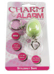SecuriKey Charm Alarm