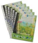 STEWART ECO PUNCH POCKET PK100 CLEAR