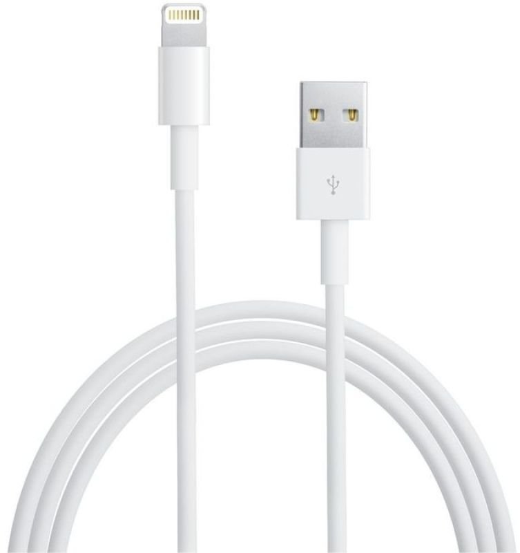 Apple Lightning to USB Cable 0.5M