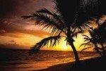 FELLOWES PALM MOODS MOUSE MAT