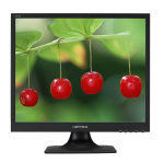HannsG HX194DPB 19" DVI Monitor