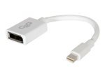C2G 15cm Mini DisplayPort Male to DisplayPort Female Adapter Converter - White