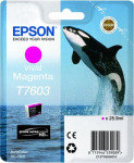 Epson T7603 Vivid Magenta Ink Cartridge