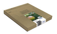 Epson T1295 Multi-pack Mailer Inkjet Cartridge