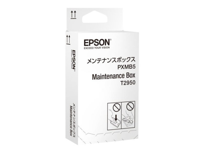 Epson WF-100W Maintenance Box C13T295000