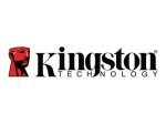 Kingston DDR4 32GB DIMM 288-pin ECC Memory