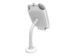 Maclocks iPad Secure Space Enclosure with Flex Arm Kiosk White - Mounting kit ( desk stand, anti-theft enclosure, VESA adapter ) for Apple iPad Pro - lockable - high-grade aluminium - white - for Apple 12.9-inch iPad Pro