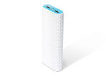 TP-Link TL-PB15600 Ally Series 15600mAh High Capacity Power Bank