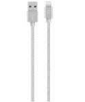 Belkin 1.2M Metallic Lightning to USB Cable Silver
