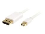 Startech Mini DisplayPort to DisplayPort Cable - 2 Metre White
