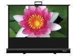 Optoma DP-9046MWL 46 Inch Pull Up Projector Screen