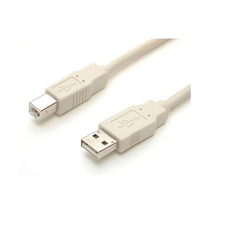 Startech USB2.0 Device Cable 3m | Ebuyer.com