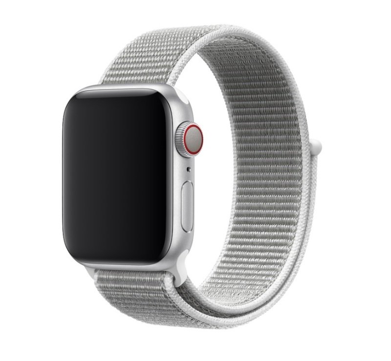 sport loop seashell