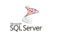 Microsoft SQL CAL 2019 Sngl OLP 1 License NoLevel User CAL