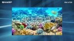Sharps Electronics PNV701 70'' Large Format Led Display Full HD