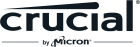 Crucial Technology logo